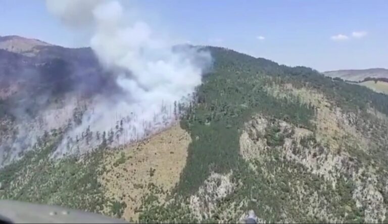 VideoCapture_20210816-135715