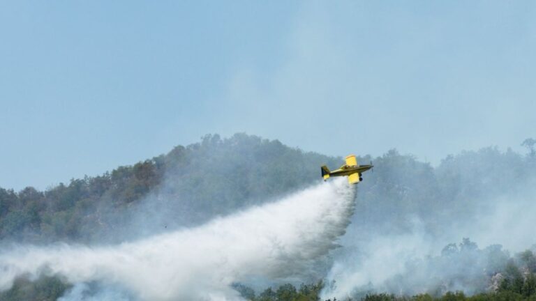 IMG-52d36cb1e66d1124a4ac0b84f15b8891-V_506x900